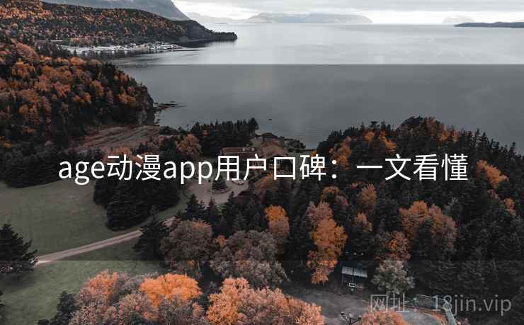 age动漫app用户口碑：一文看懂